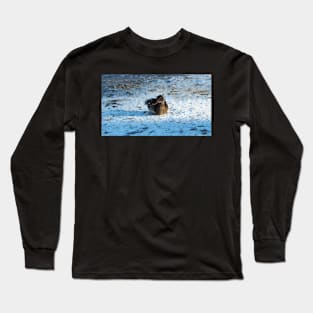 Duck Resting On The Snow Long Sleeve T-Shirt